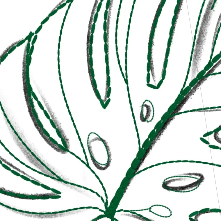 Close-up of a monstera leaf traced in rows of separate drawn dashes over grey pencil lines.